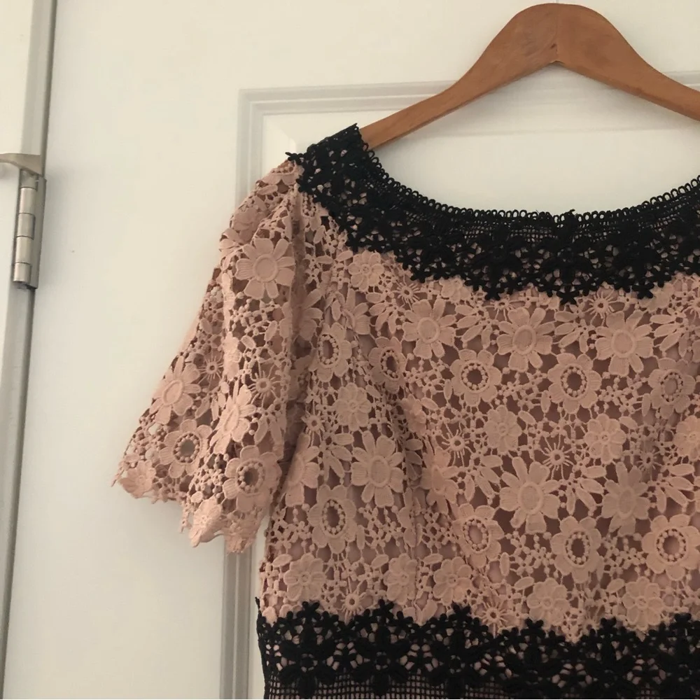 NWT SHANI Colorblock Lace Sheath Dress Champagne 10